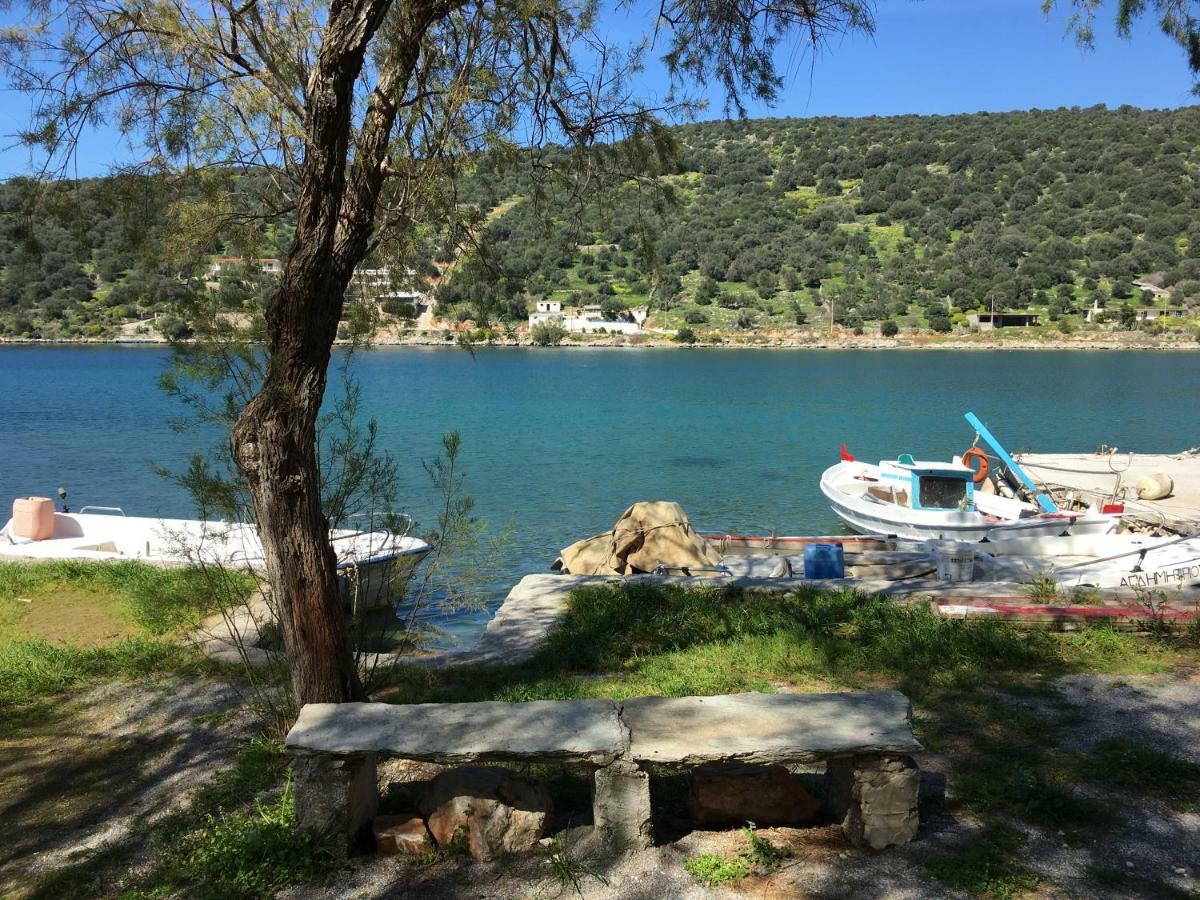 Sea Front Studio - Porto Boufalo - Evia Eksteriør billede
